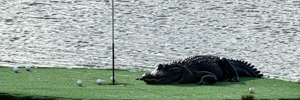 psorensen Profile Banner