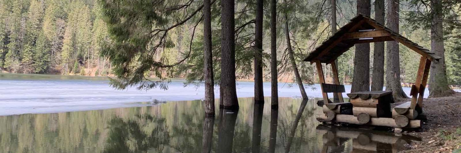 Kate 💙💛 banner