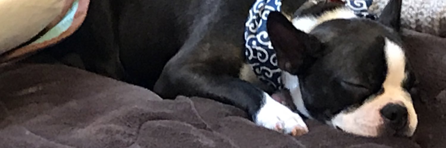 señor banner