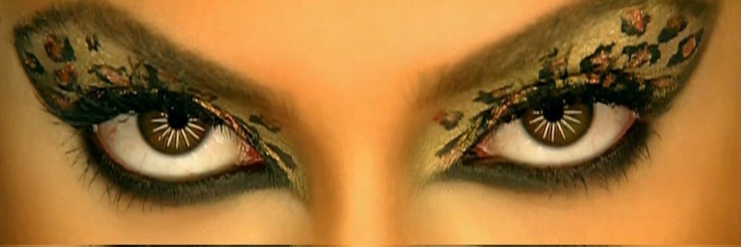diaryofbottom's profile banner image