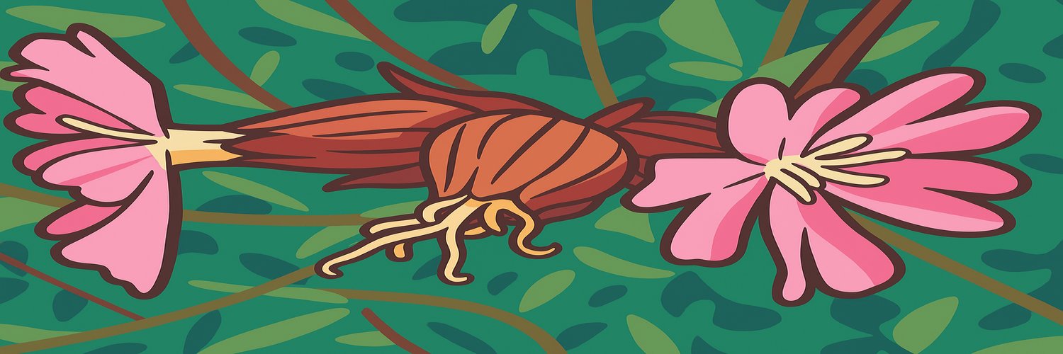 pitchooes's profile banner image