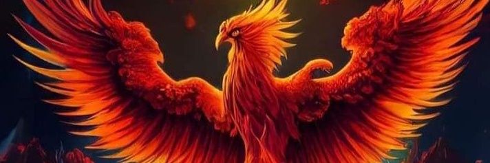 Phoenix Rising (@DKeller56891630) / Posts / X