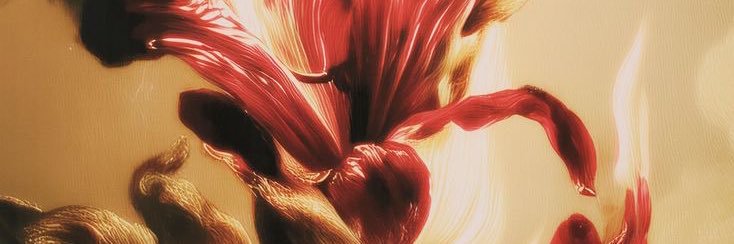 priincsah's profile banner image