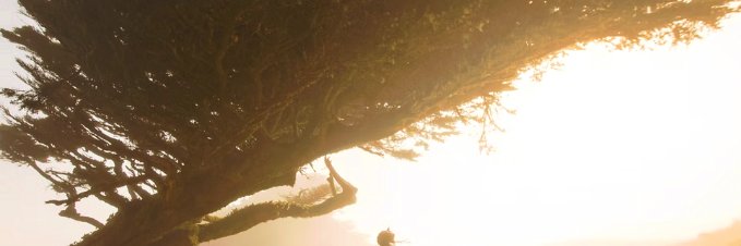 JaneHow11912441's profile banner image