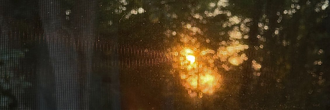 jxst4jay's profile banner image
