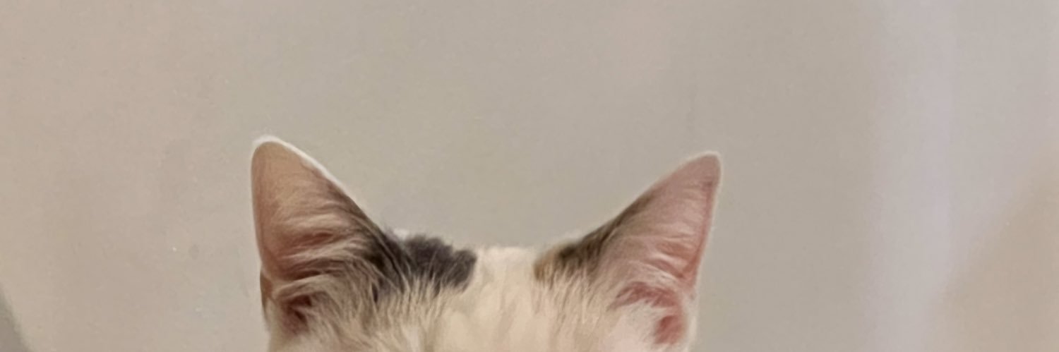 Savannah Moss banner