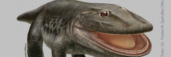 fizzymilker Profile Banner