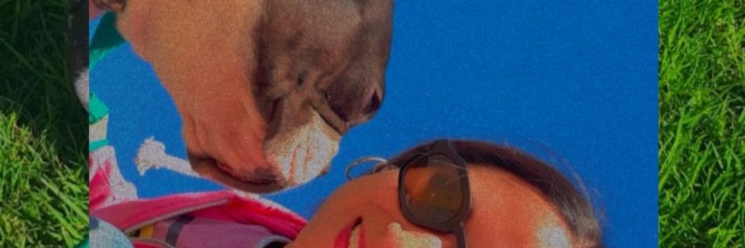 BarbaraMilito's profile banner image