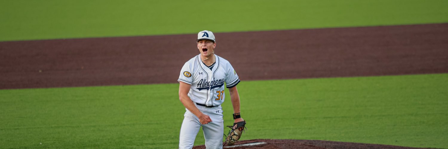 Harrison Ashley banner