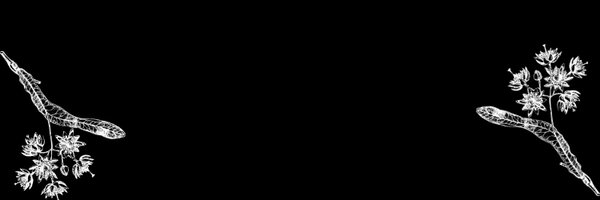 Fithozin Profile Banner
