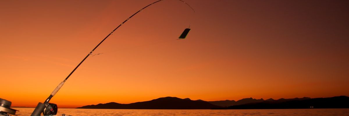 rlhernandezch's profile banner image