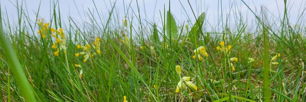 DavidCraigFarm Profile Banner