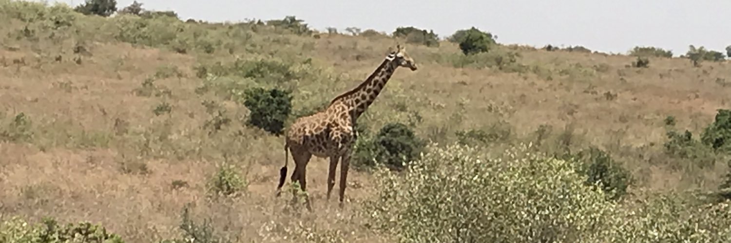 VictoriaColeman banner