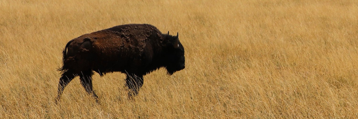 Rasmussen Photography banner