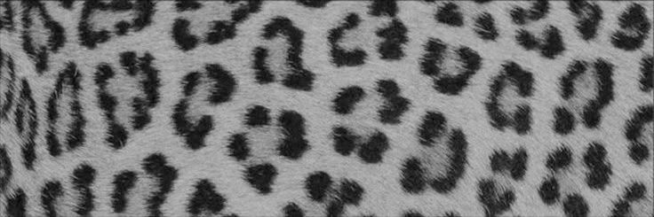 𝗆𝗂𝗌𝗌 𝗉𝗈𝗌𝗌𝖾𝗌𝗌𝗂𝗏𝖾. banner