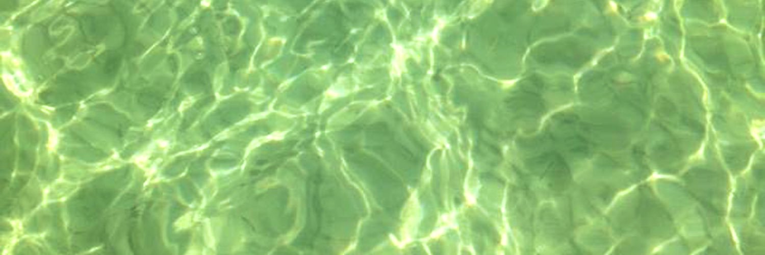 florida editor 🐊 banner