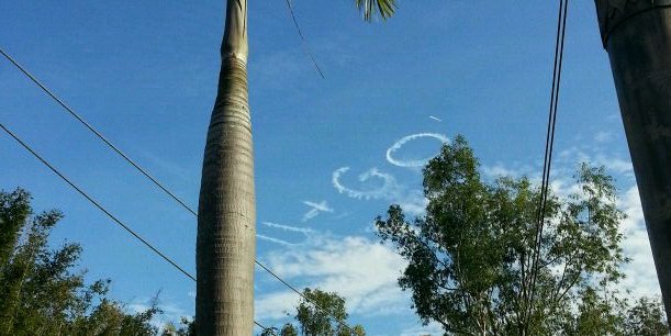 Erick Levy Cohen banner