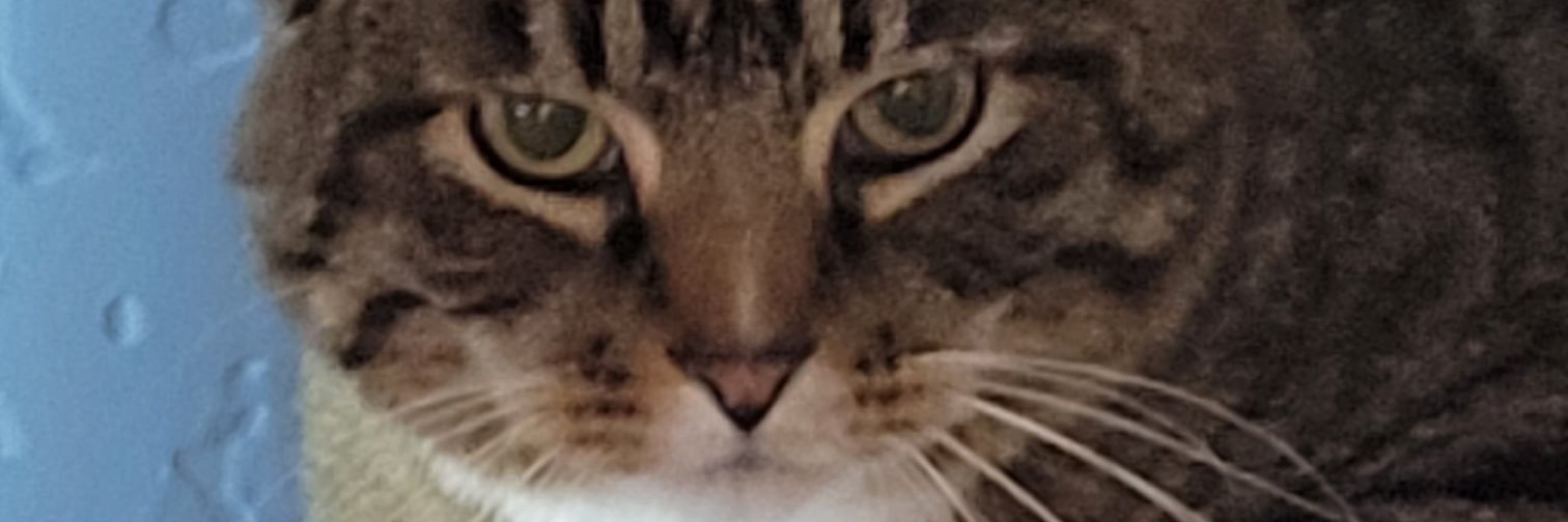 UDown67's profile banner image