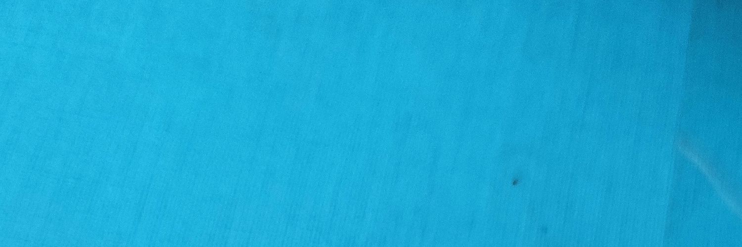 CarolinaHerr3ra's profile banner image