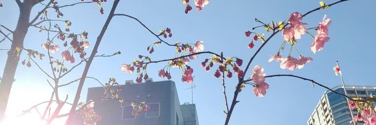 るんるんルリカケス@C106(土)東E-30b's banner