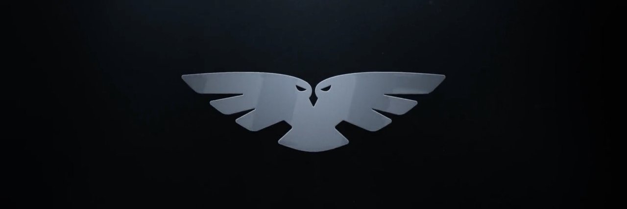 Vulture banner