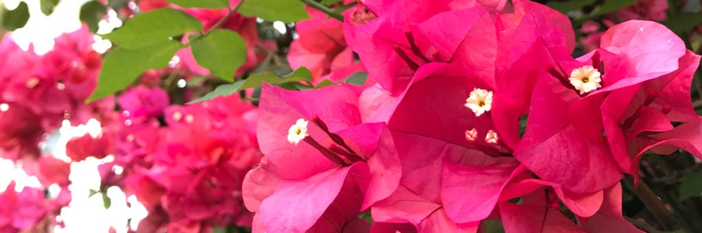 bv_naka's profile banner image