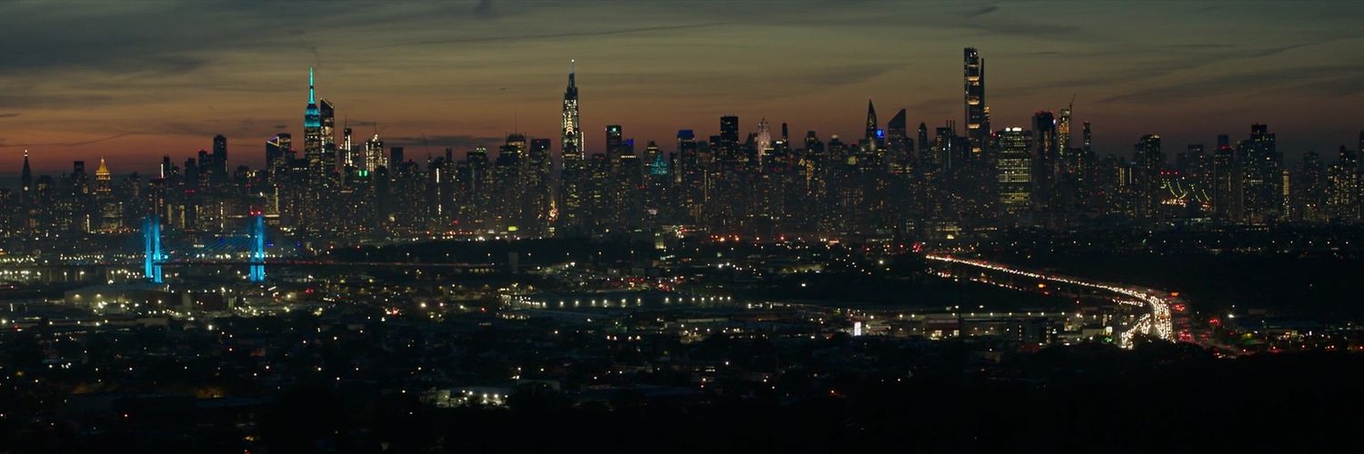 Sensational Spider-Bro banner