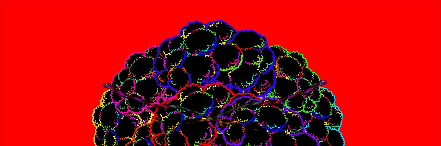 BobluPlatform's profile banner image