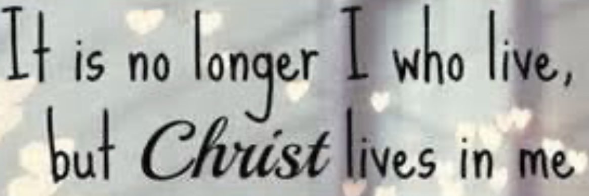 Megwara Favour banner