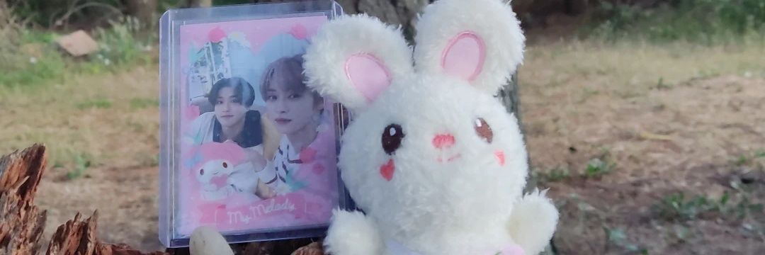 Pancha🌸 banner