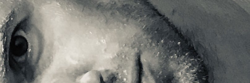 Fonder2's profile banner image