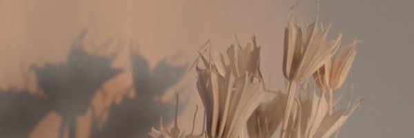 erks_erk's profile banner image