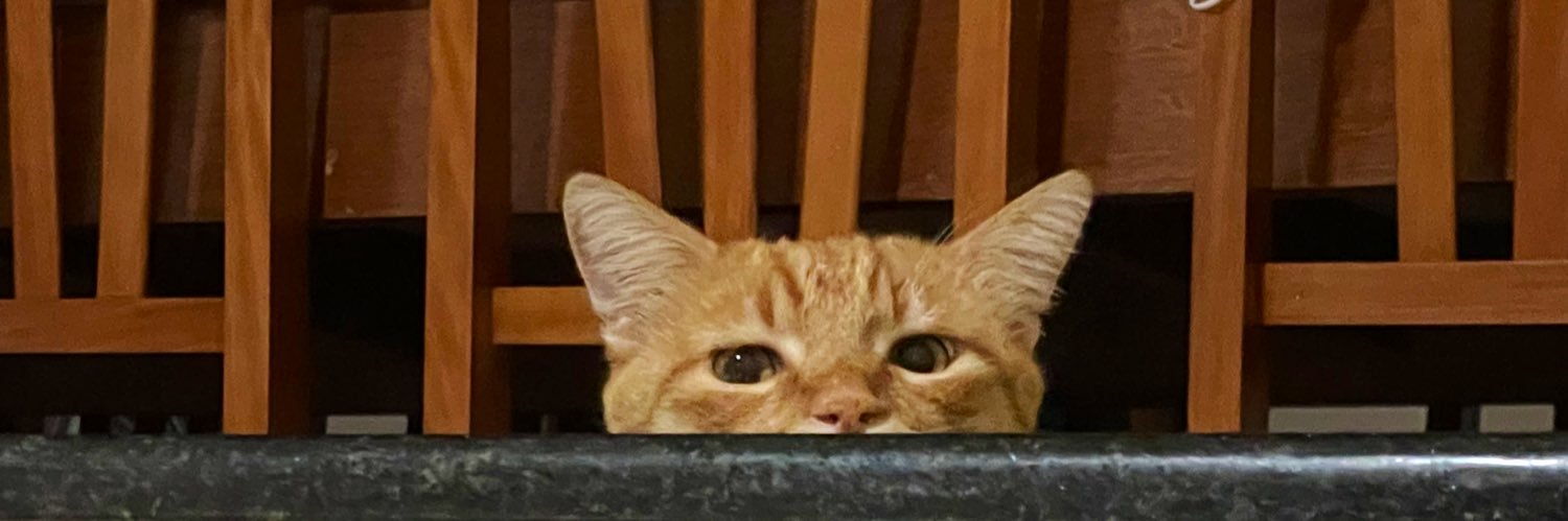 kikih's profile banner image
