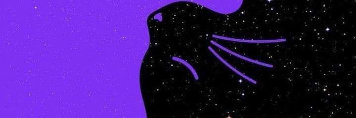 FelineeFatalee's profile banner image