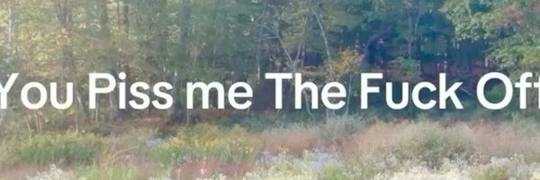 Buggyv0id Profile Banner