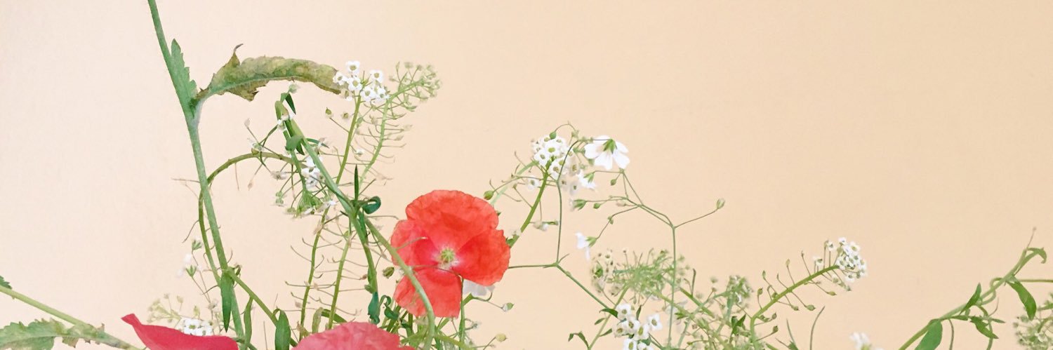 shigechiko's profile banner image