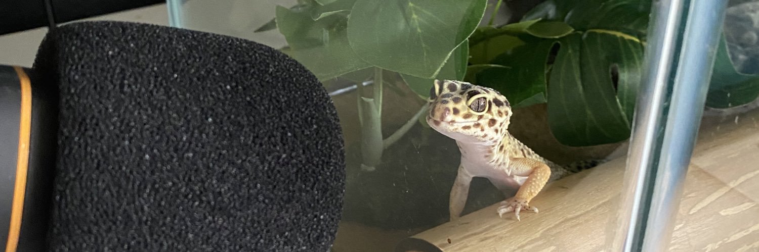 sarahmpierce's profile banner image