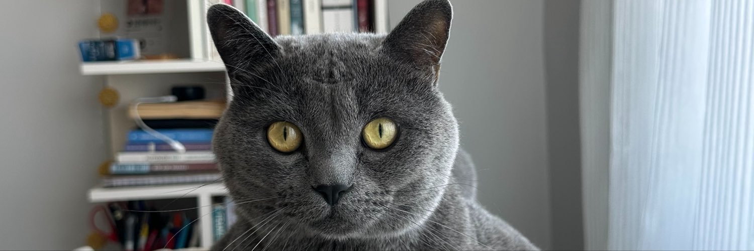 FundaKarakuss1's profile banner image