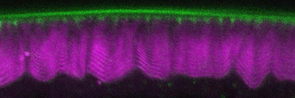 TajiriLab Profile Banner