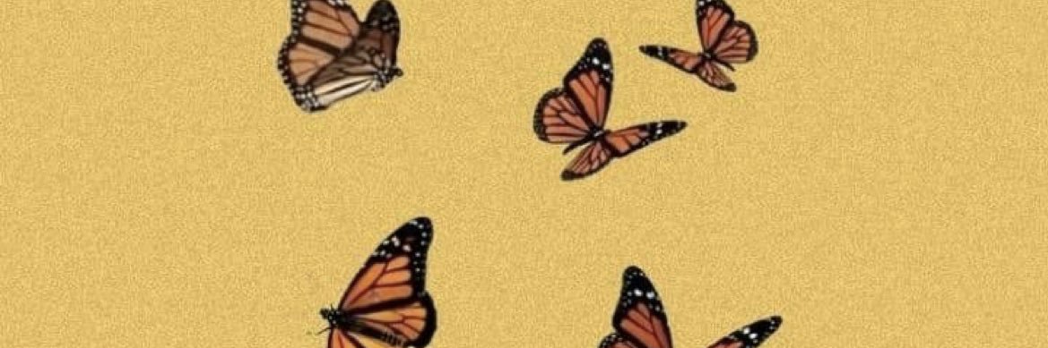 lifeofalibraa's profile banner image