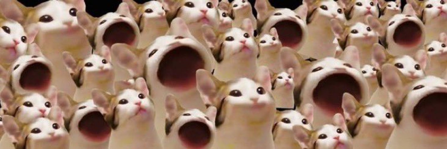 Froggy ⚡️🧲⚡️ banner