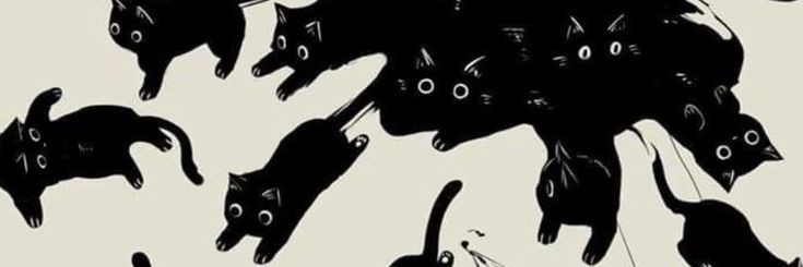 dmuplingg's profile banner image