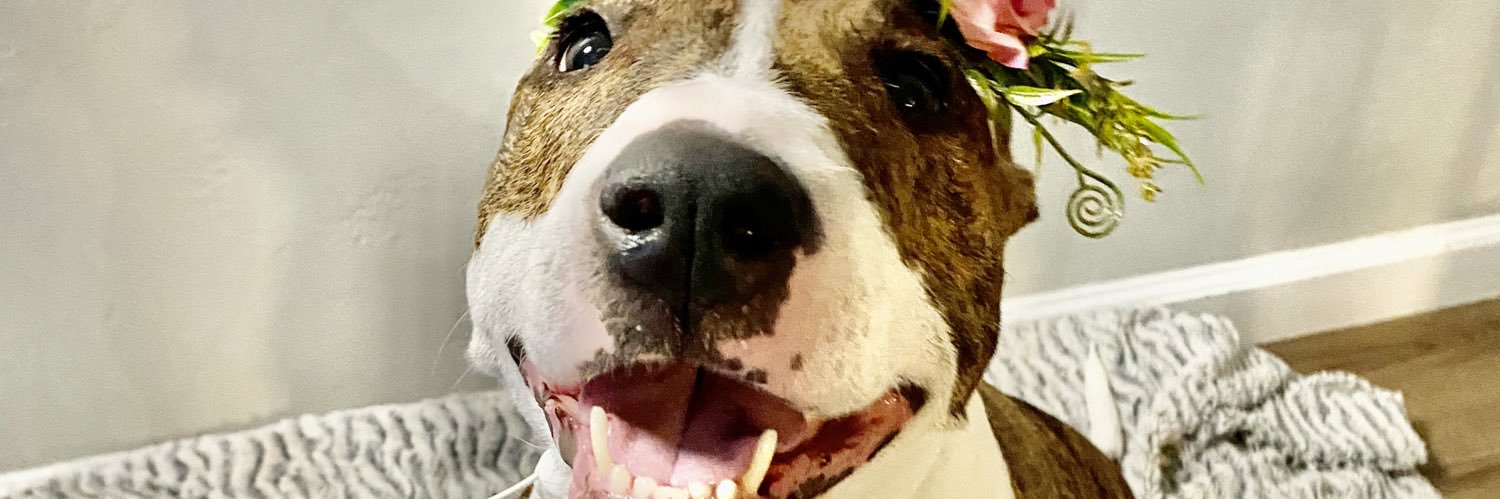 Nyx 🇲🇽🎃✨ banner