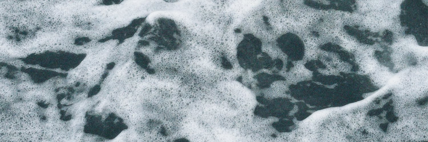 nina banner