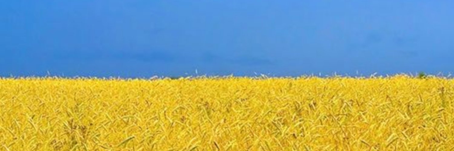 Ladyrov banner