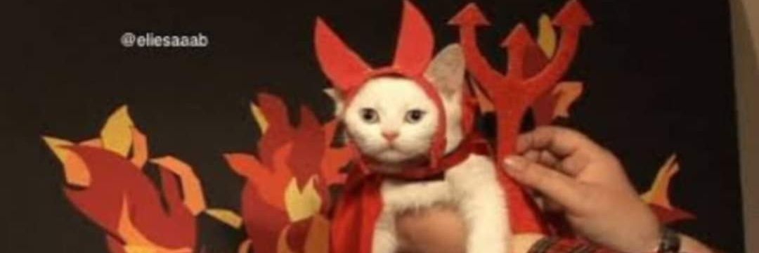 _AdaLuz__'s profile banner image
