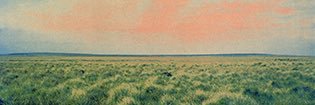 maycomayco's profile banner image