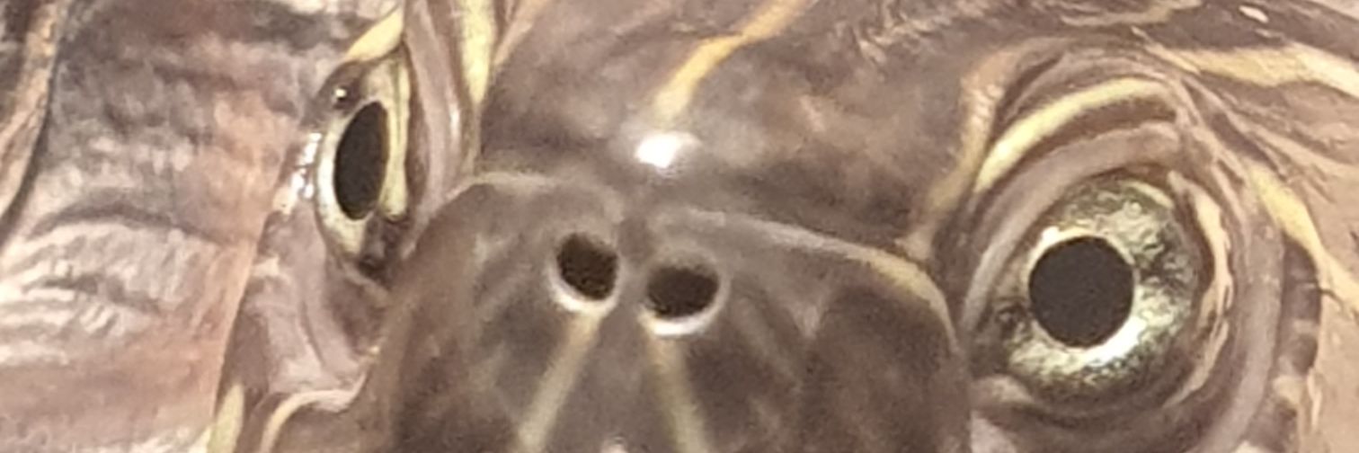 xyxbixn's profile banner image