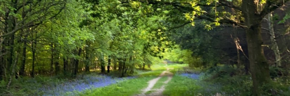 Louis Vavasour banner