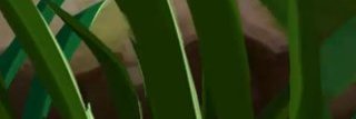 Jacob76551170's profile banner image